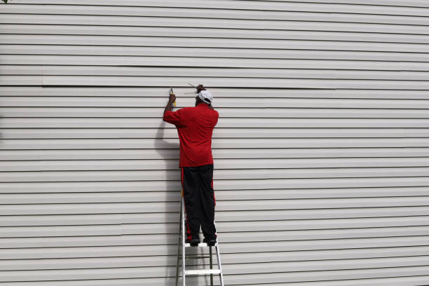 Best Vinyl Siding Installation  in Zephyrhills South, FL