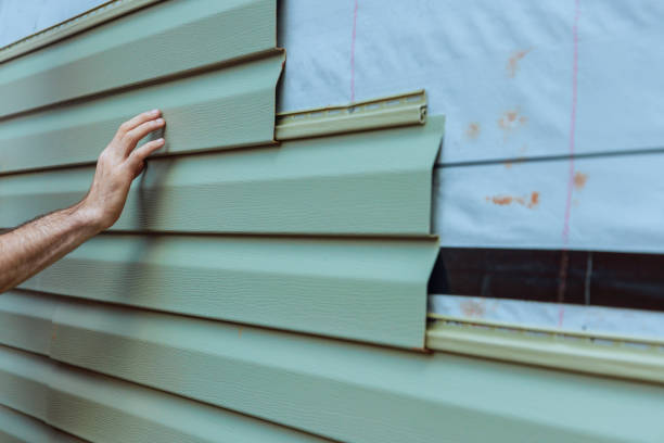 Best Custom Siding Design  in Zephyrhills South, FL